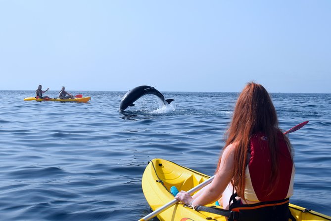 Tenerife: Turtle & Dolphin Kayak Tour with Snorkel & Wetsuit - Which Guides Help Make the Day Work