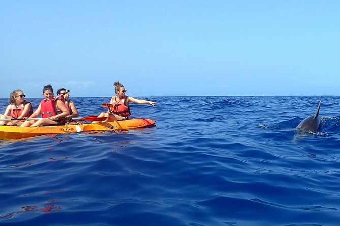 Tenerife: Turtle & Dolphin Kayak Tour with Snorkel & Wetsuit - Who Should Book This Kayak Tour?