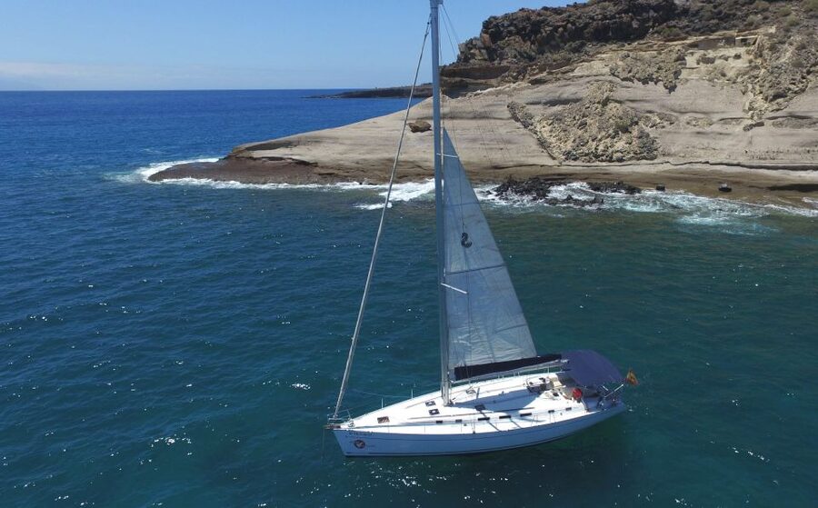 Tenerife: Whale and Dolphin Watching Tour by Sailboat - What the three-hour trip is really like