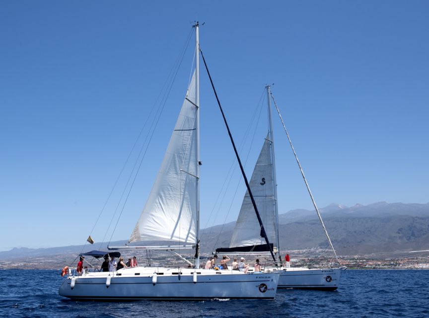 Tenerife: Whale and Dolphin Watching Tour by Sailboat - Food, drinks, and life on deck