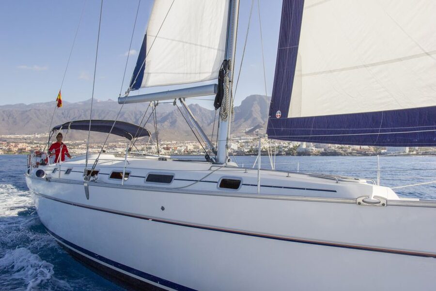 Tenerife: Whale and Dolphin Watching Tour by Sailboat - The small-group advantage