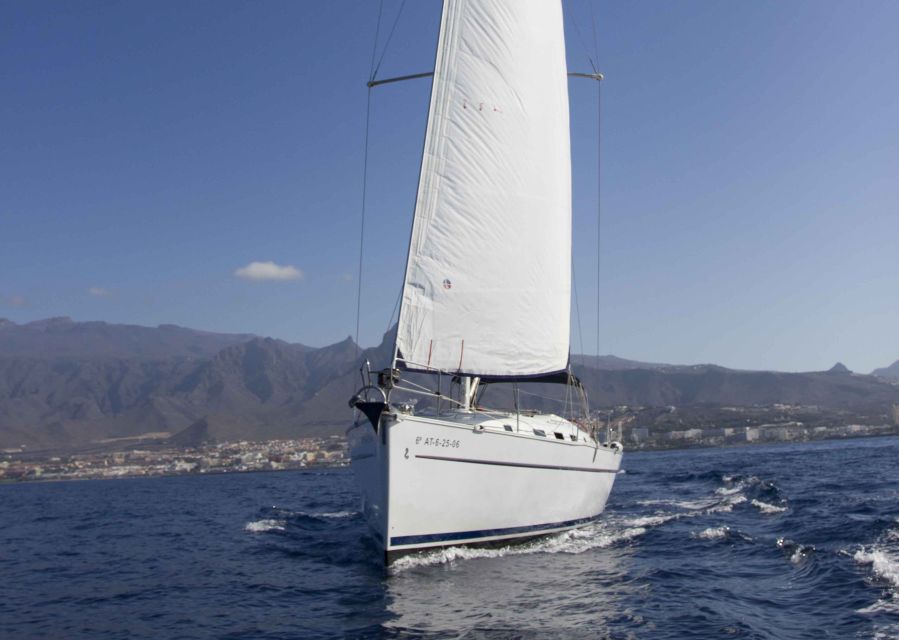 Tenerife: Whale and Dolphin Watching Tour by Sailboat - Wildlife watching off Costa Adeje