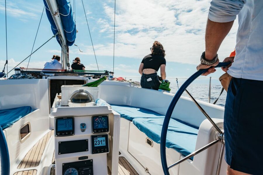Tenerife: Whale & Dolphin Watching with Drinks and Snacks - Who will enjoy this trip most