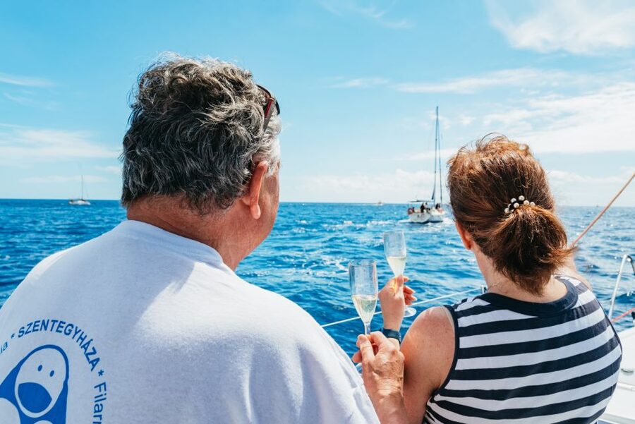 Tenerife: Whale & Dolphin Watching with Drinks and Snacks - What the $77 price really buys you