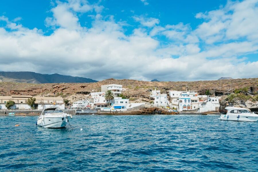Tenerife: Whale & Dolphin Watching with Drinks and Snacks - Practical preparation for the Atlantic