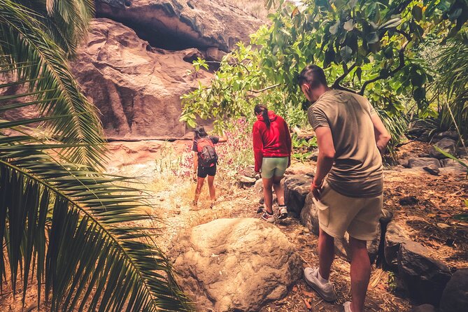 The Red Canyon Tour - Small Group Trip with Local Food Tasting ツ - Local Food at La Caldera de Tirajana