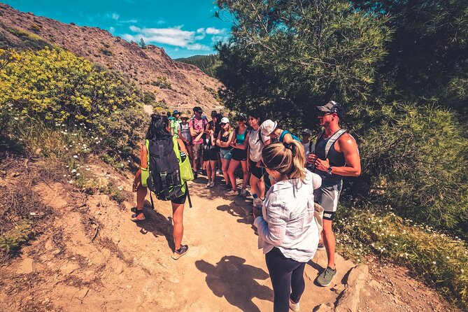 The Volcano Heart Tour: Hiking, Tasting and Sunset Experience - Pico de Bandama gives you the first wide view
