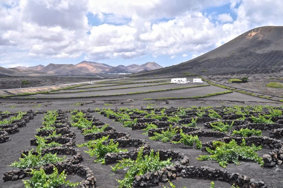 Timanfaya And El Golfo For Cruise Passengers (Mornings) - Why Timanfaya gives this tour its purpose