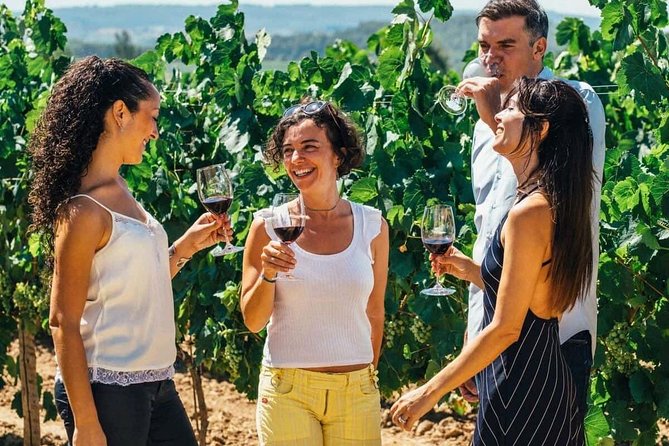 Toledo Tour & Vineyard Walk with Wine Tasting from Madrid - Walking Toledo’s old town and Jewish Quarter