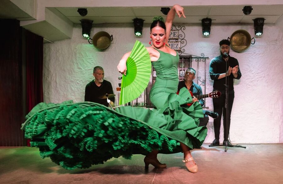 Torremolinos: Flamenco Show with Drinks - Is $41 a fair price?