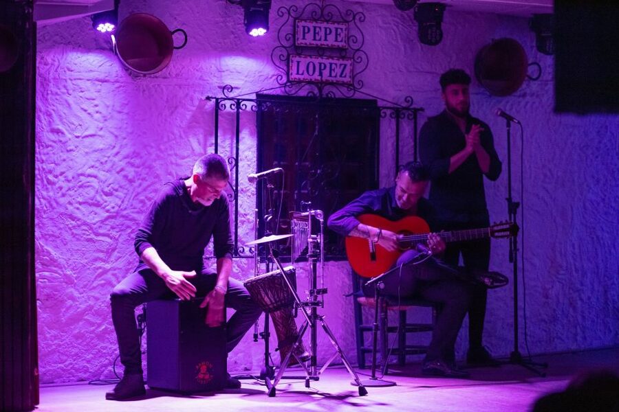 Torremolinos: Flamenco Show with Drinks - Who should book this experience