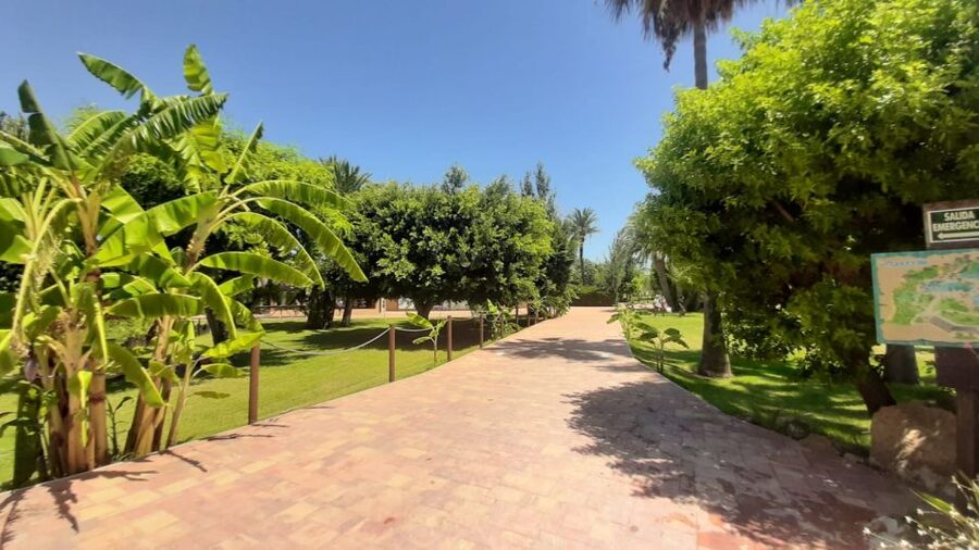 Torrevieja: Aquopolis Water Park Entry Ticket - Should you book Aquopolis Torrevieja?