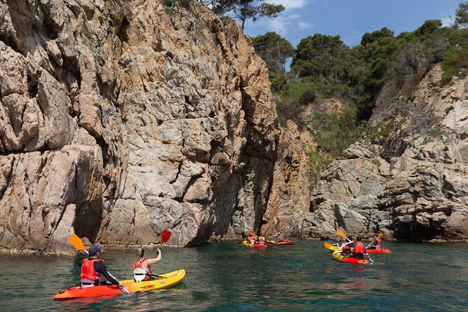 Tossa de Mar: Kayak & Snorkel Tour with Paella from Barcelona - Snorkeling, swimming, and the small sea life