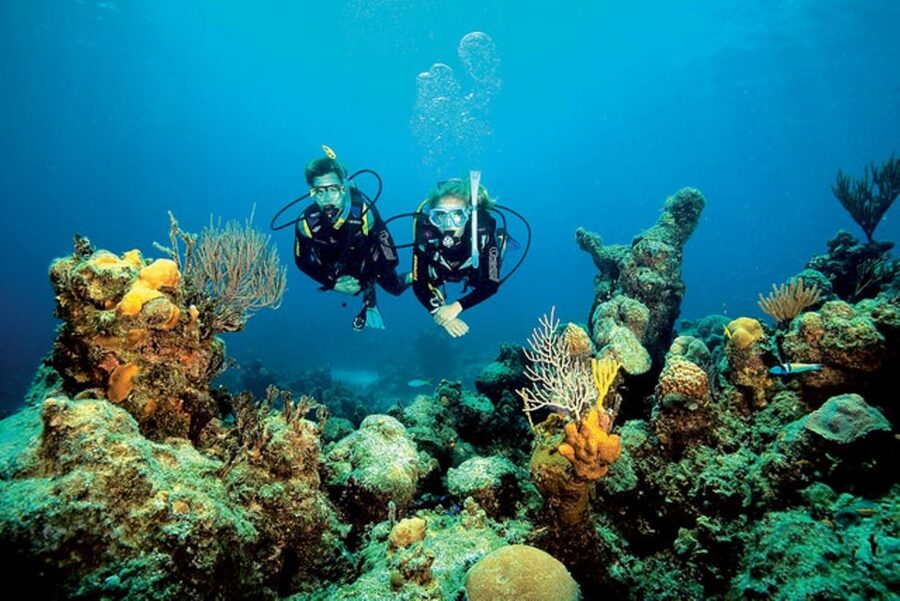 Tossa de Mar: Scuba Diving Experience for Beginners - Key points to know