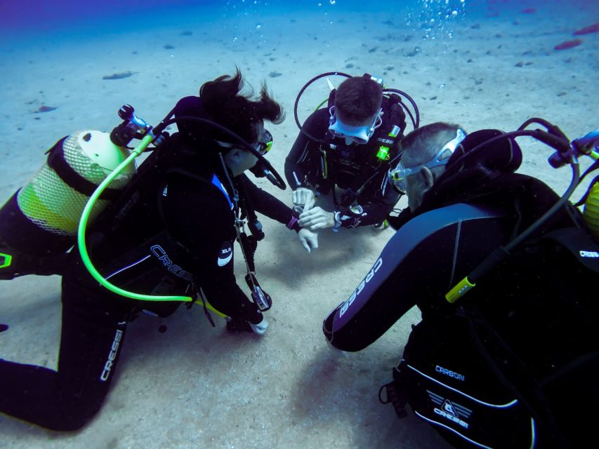 Tossa de Mar: Scuba Diving Experience for Beginners - Language, group size, and practical planning