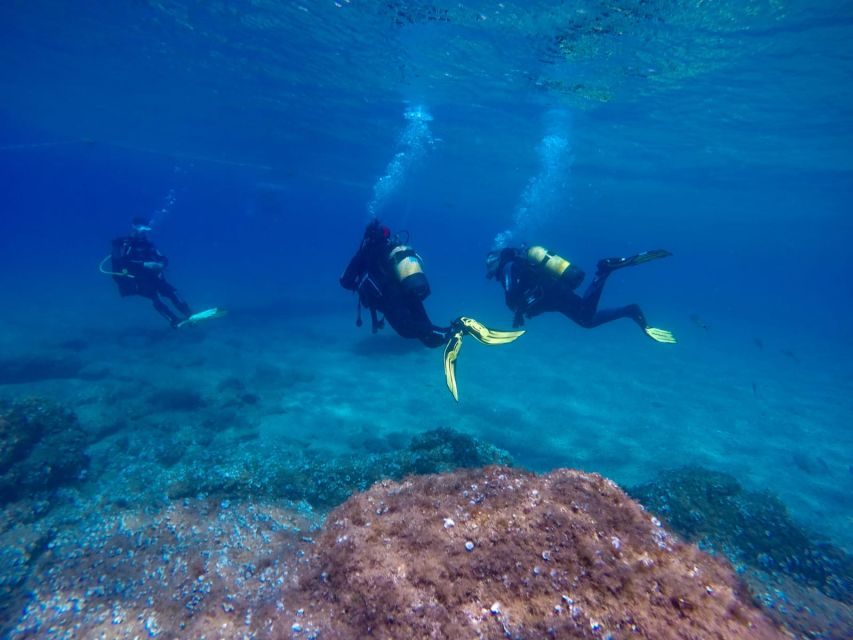 Tossa de Mar: Scuba Diving Experience for Beginners - Entering from the beach in Tossa de Mar