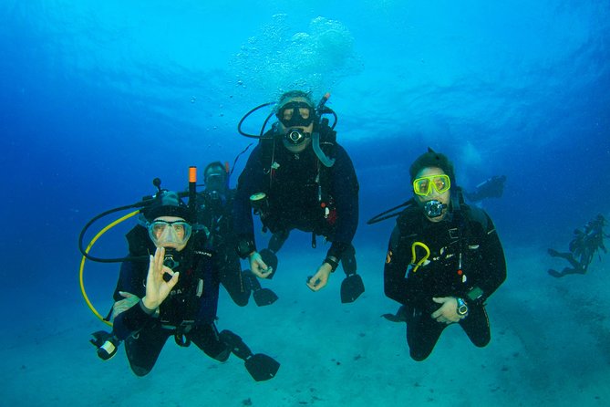 Tossa de Mar Scuba Diving PADI - Fish, octopuses, and the chance of seahorses