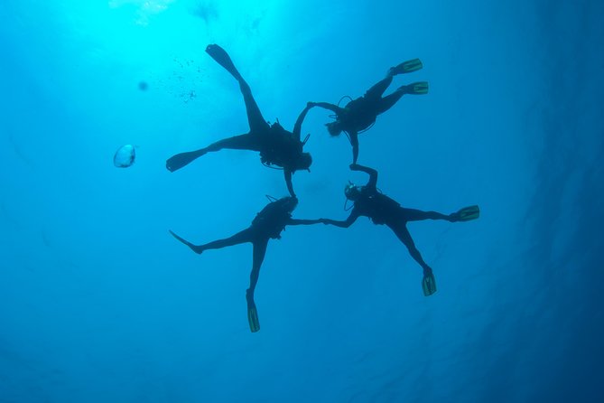 Tossa de Mar Scuba Diving PADI - Who will enjoy this most?