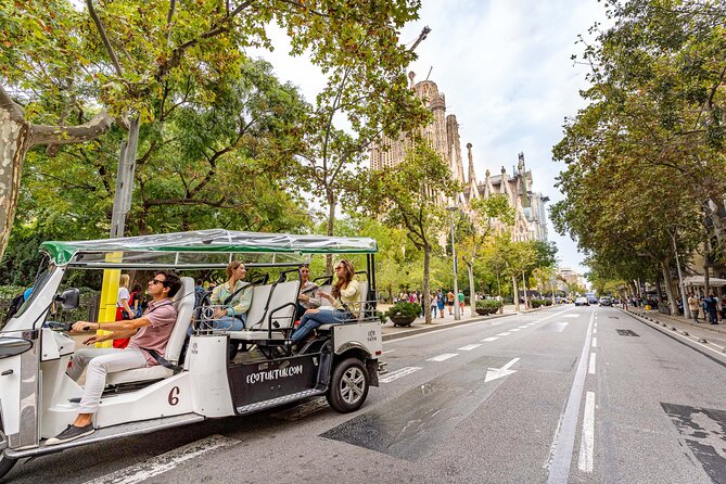 Tour Welcome Barcelona with Local Guide in Eco Tuk Tuk Private - The port, parks, and Arc de Triomf