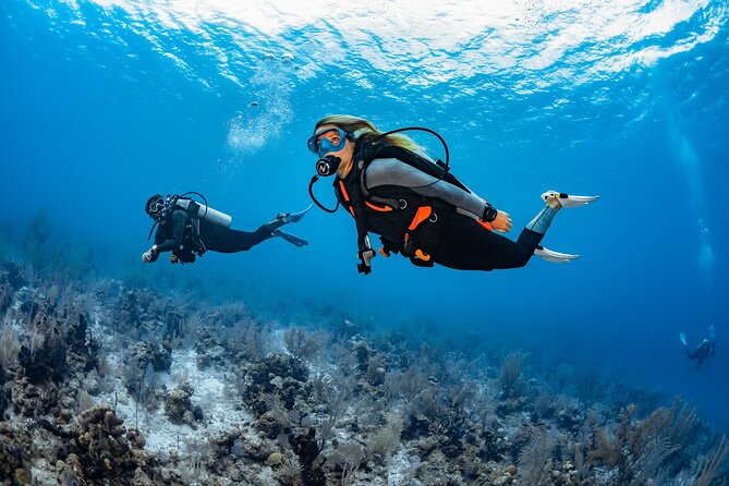 Try Dive - PADI Discover Scuba Diving in Tenerife - Meeting Scubanana at Radazul Marina