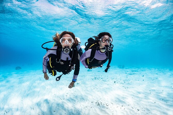Try Dive - PADI Discover Scuba Diving in Tenerife - The first stage: learning before entering the water
