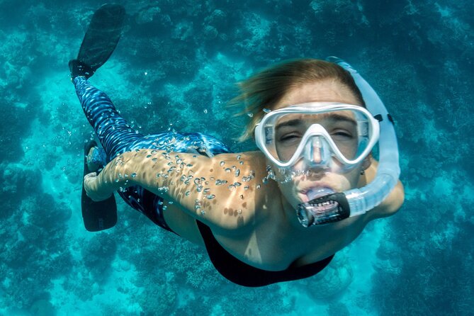 Uncharted Marine Reserve Cave, Snorkel & Cliff Jumping Kayak Tour - Snorkeling inside the San Antonio Marine Reserve