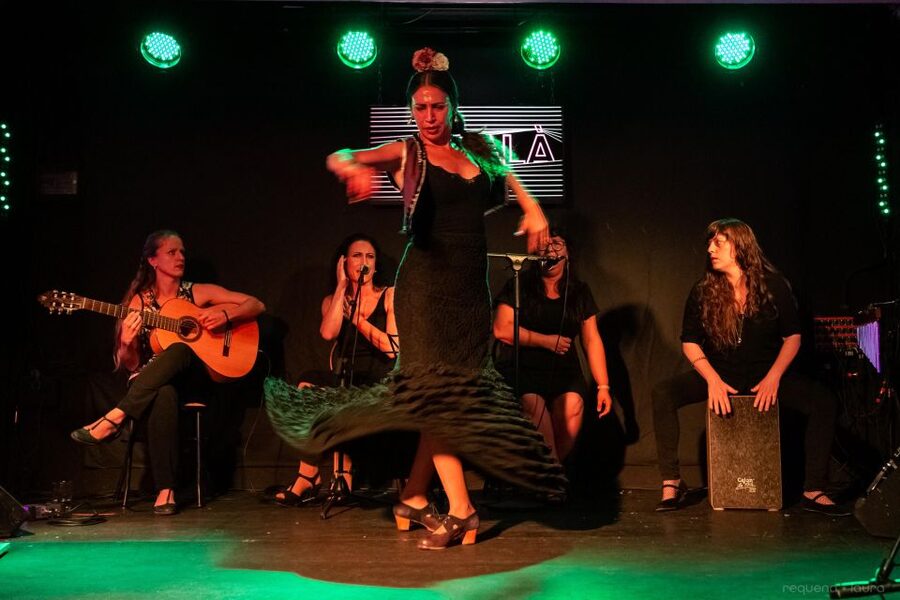 Valencia: Authentic Flamenco Show Entry Ticket - Key points at a glance