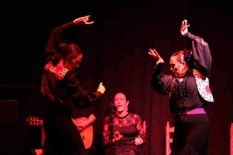 Valencia: Authentic Flamenco Show Entry Ticket - My recommendation