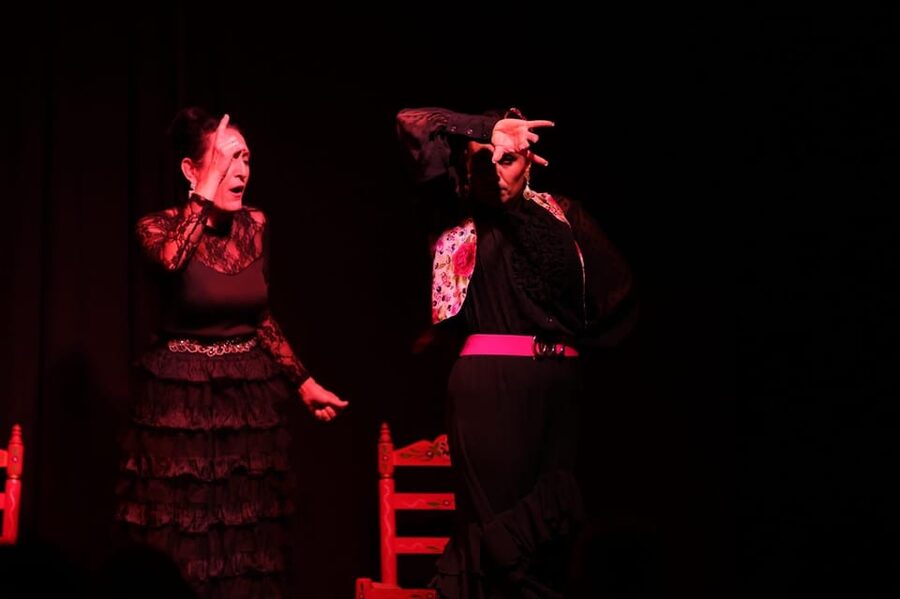 Valencia: Authentic Flamenco Show Entry Ticket - What the one-hour performance includes