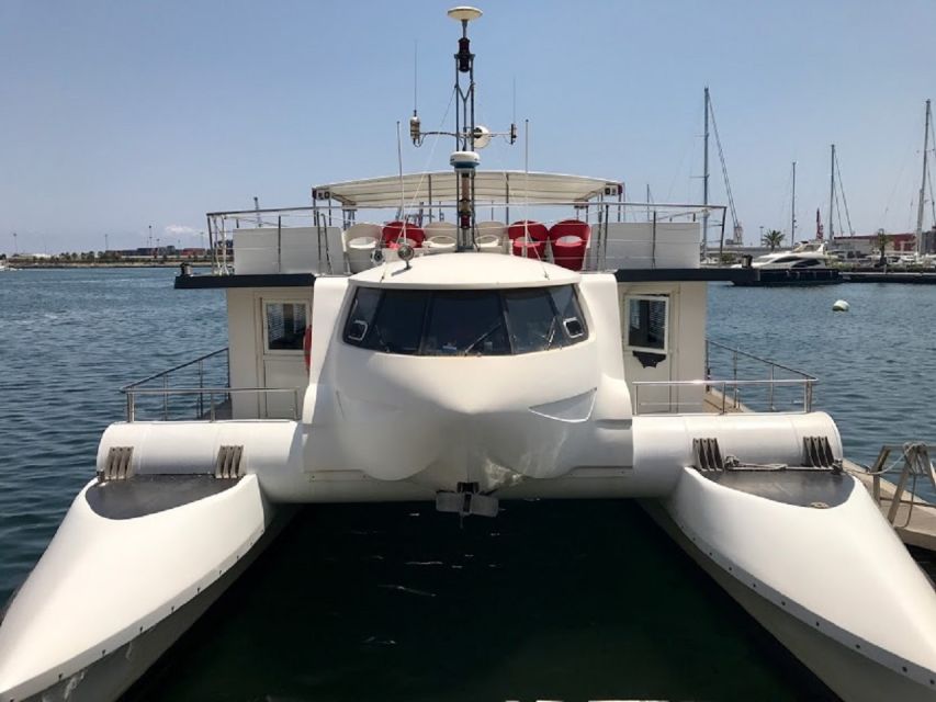 Valencia: Catamaran Cruise, Paella Lunch and Swim Stop - What the Valencia catamaran cruise is really like
