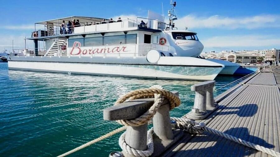 Valencia: Catamaran Cruise, Paella Lunch and Swim Stop - Who will enjoy this outing most?