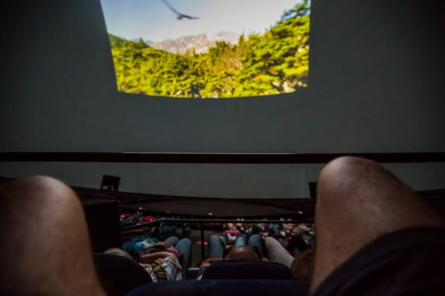 Valencia: City of Arts and Science 3D Movie at Hemisfèric - What the feedback tells you