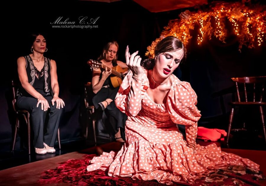 Valencia: Flamenco Show at Tablao La Reina - Finding the Venue Near Plaza de la Reina