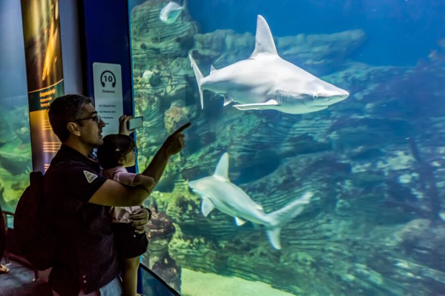 Valencia: Oceanogràfic Entry Ticket - Key points to know before you go