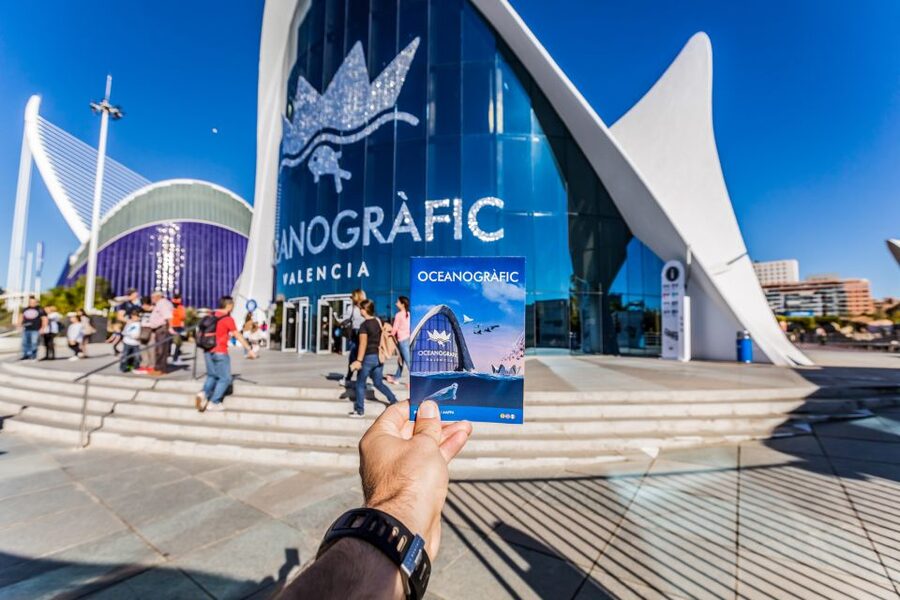 Valencia: Oceanogràfic Entry Ticket - The shark tunnel is the visual showstopper