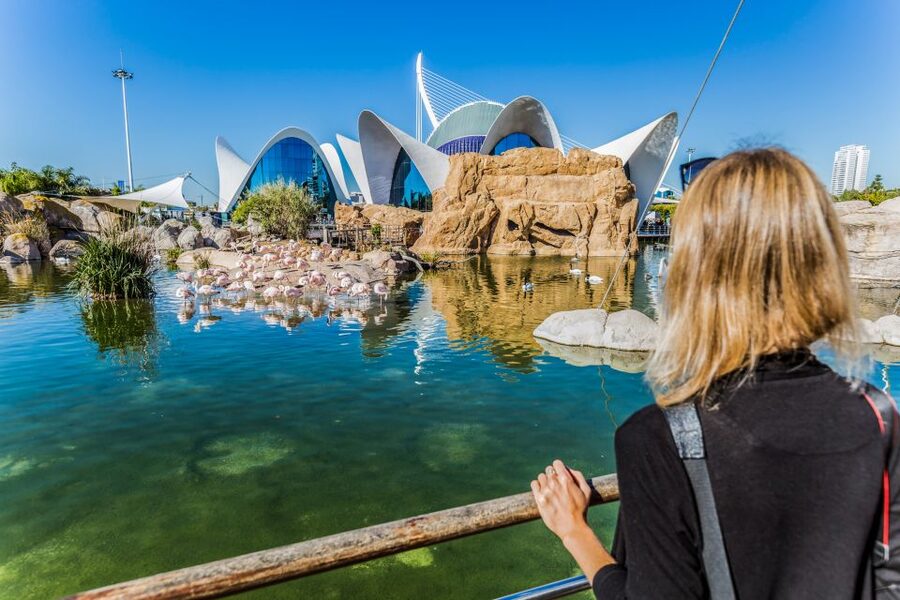 Valencia: Oceanogràfic Entry Ticket - Why the two-level design works