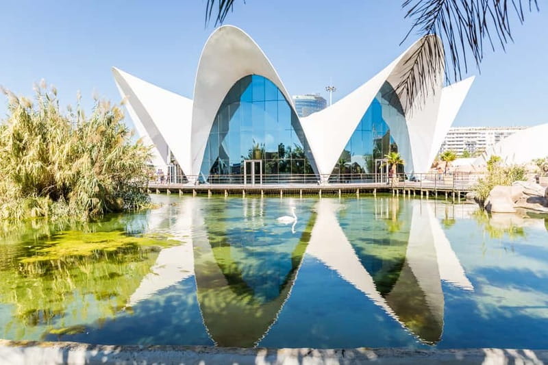 Valencia: Oceanogràfic, Hemisfèric & Science Museum Combo - Families, couples, and solo visitors