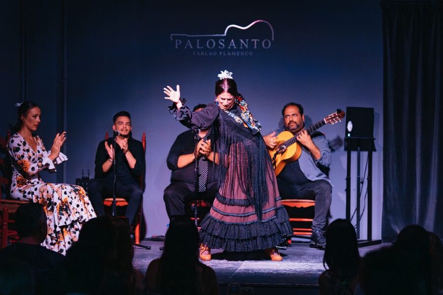 Valencia: Palosanto Flamenco Show Ticket - Why Palosanto works as a first flamenco show