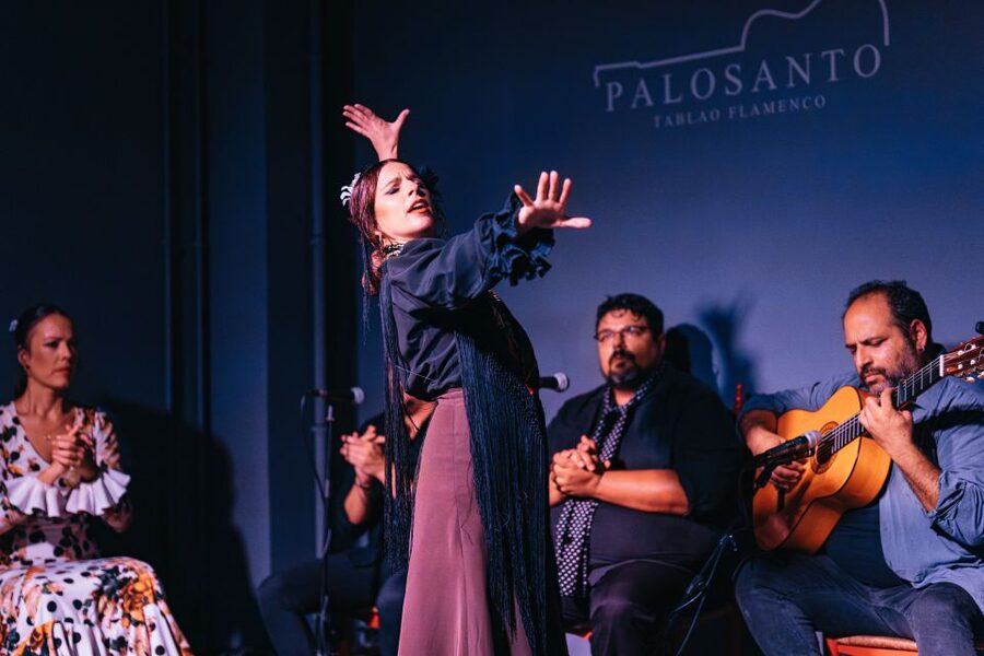 Valencia: Palosanto Flamenco Show Ticket - A modern room with traditional spirit