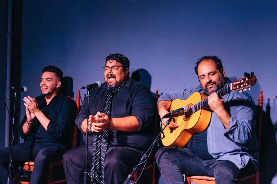 Valencia: Palosanto Flamenco Show Ticket - Reception, seating, and the best place to sit