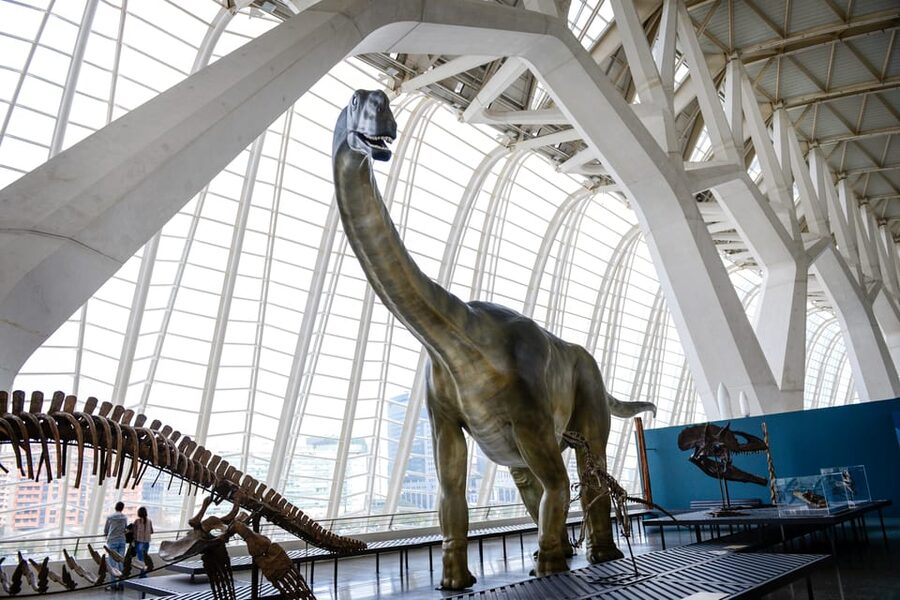 Valencia: Principe Felipe Science Museum Entry Ticket - Opening hours change by season