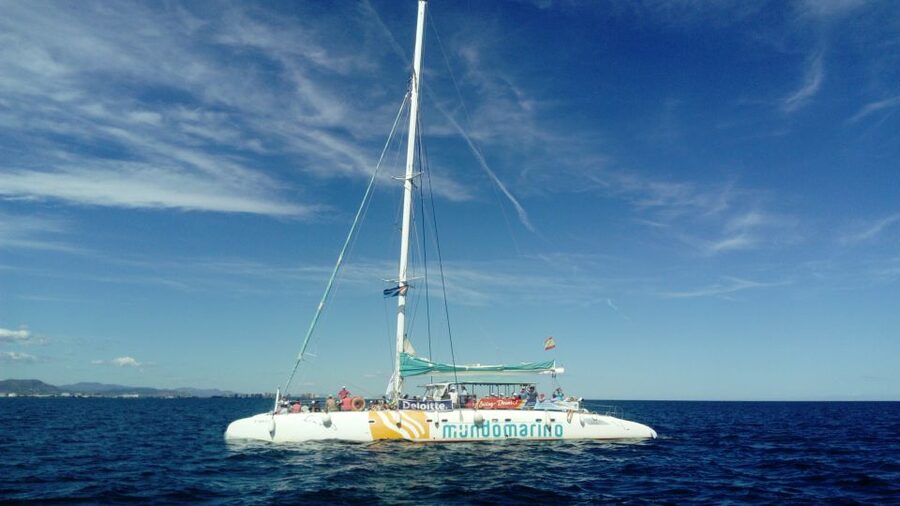 Valencia: Sailing Catamaran Cruise with Valencian Lunch - Who will enjoy this cruise most?