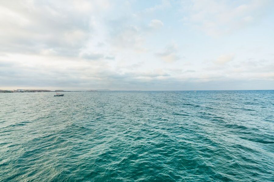 Valencia: Sunset or Daytime Catamaran Cruise with Drink - Should You Book the Valencia Catamaran Cruise?