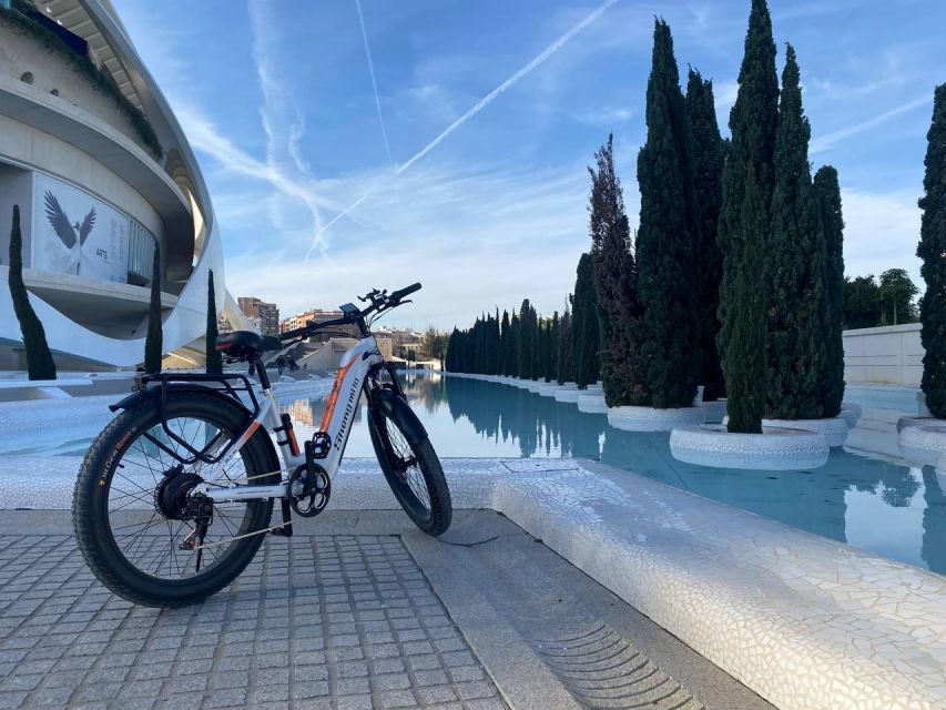 Valencia: Top 25 Highlights Guided Bike Tour - Starting in Ruzafa at Puerto Rico 23