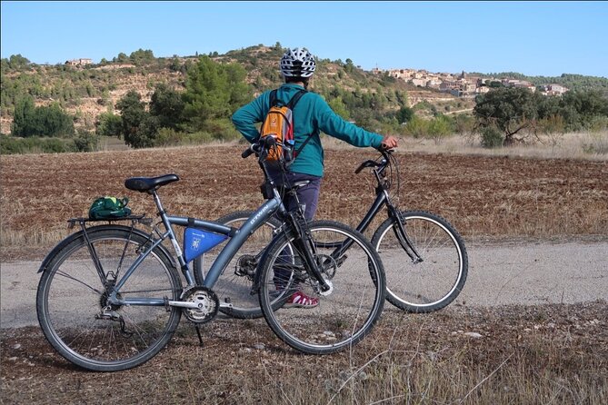 Via Verde Cretes - Pinell de Brai 27km (90% dec. 10% flat) - From Cretas vineyards to the Rocas de Benet