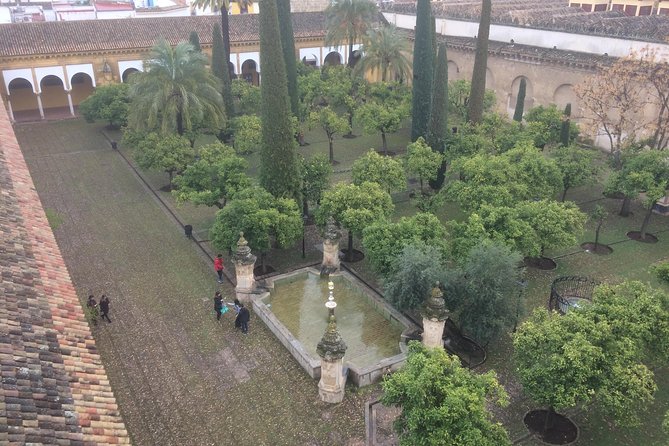 Visit in Spanish to the Cathedral Mosque. Does not include entrance ticket - What the tour does not include