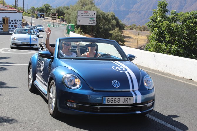 Vw Beetle Convertible Island tour Discover the island on a different way - The aloe vera farm visit