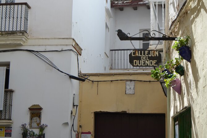 Walking Tour through Cádiz: Stories from the hand of a local guide - Genovés Park, a slower green pause