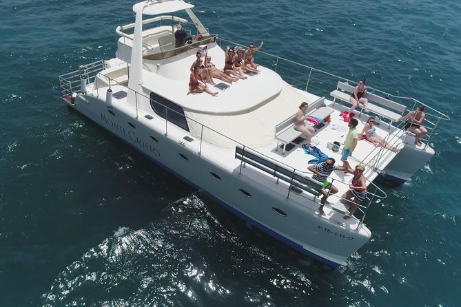 Whale and Dolphin Watching Catamaran with Transfer and Buffet - Key points at a glance