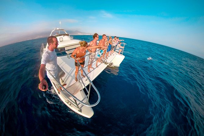 Whale and Dolphin Watching Catamaran with Transfer and Buffet - Why pilot whales make this cruise special